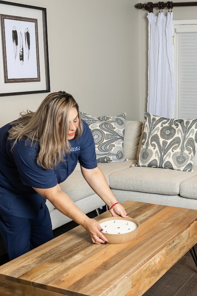 The Maid Connection, Inc. project